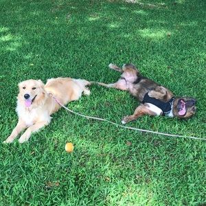 Meet your Posher, Tate